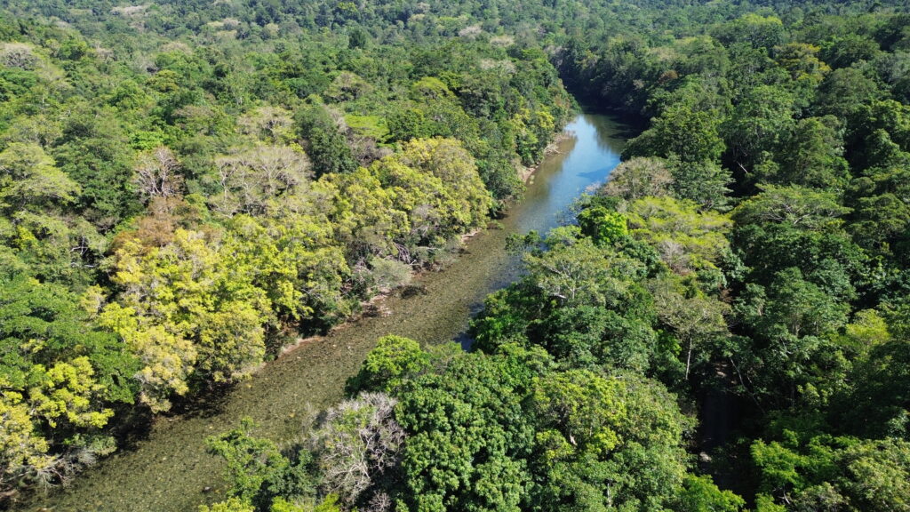 Mulgrave River, Goldsborough Valley Campgrounds