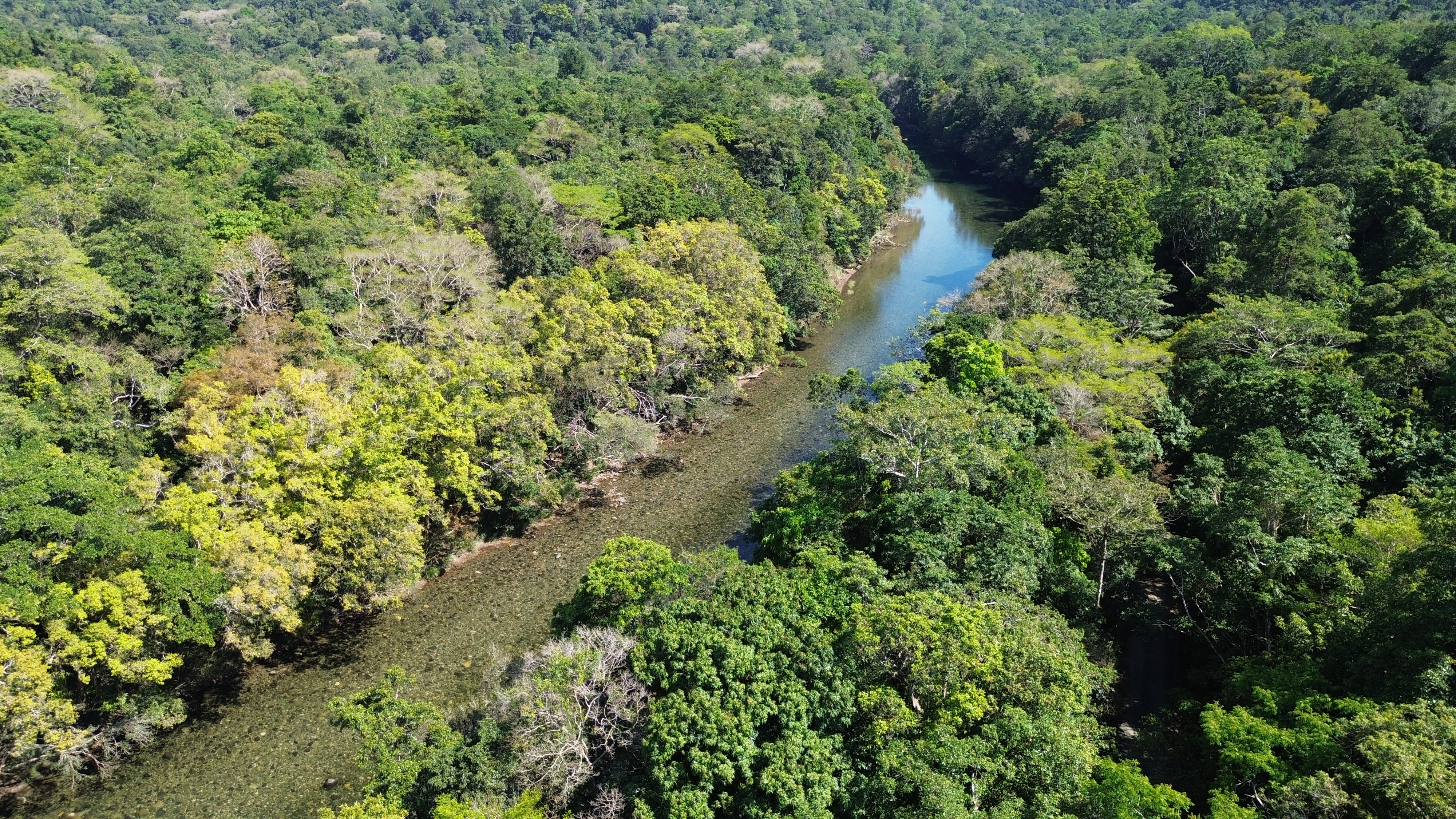 Mulgrave River, Goldsborough Valley Campgrounds